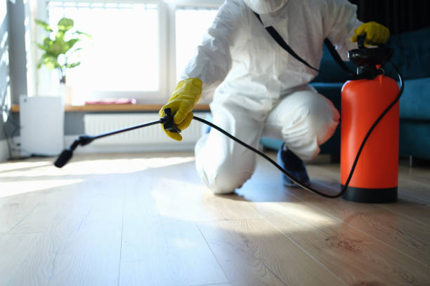 Reliable Hoarding Cleanup contractor in Beaumont, TX by Dulley Family Biohazard Services